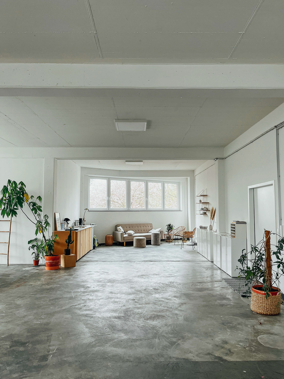 Beispiel-Location-Brand-Shoot-mobil Blick in den Raum eines Tageslichtstudios für helle und moderne Businessfotos. Man sieht ein Sofa und rechts und links stehen Kommoden und Pflanzen. Der Raum ist sehr hell.