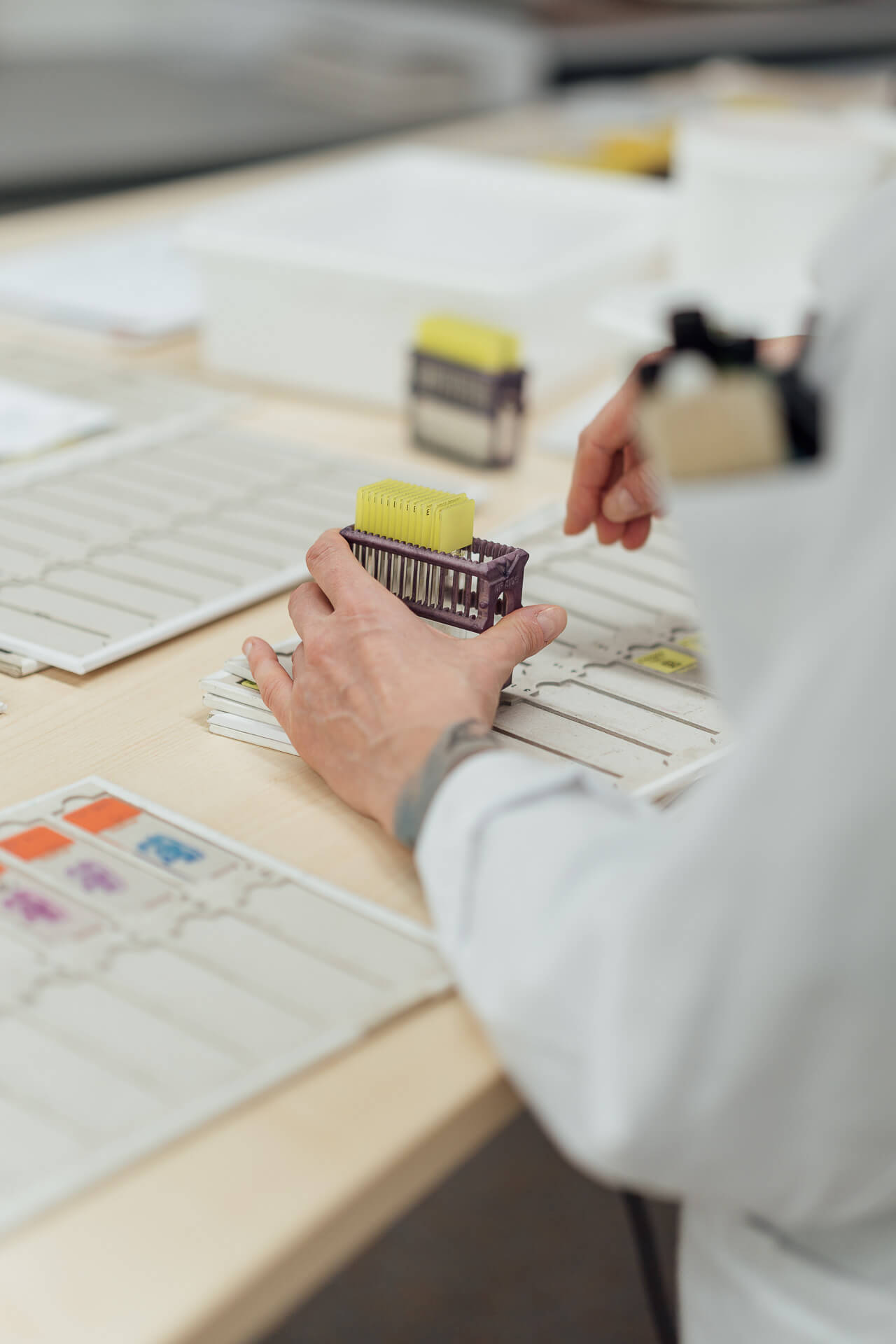 Objektträger in der Pathologie werden auf eine Pappe sortiert