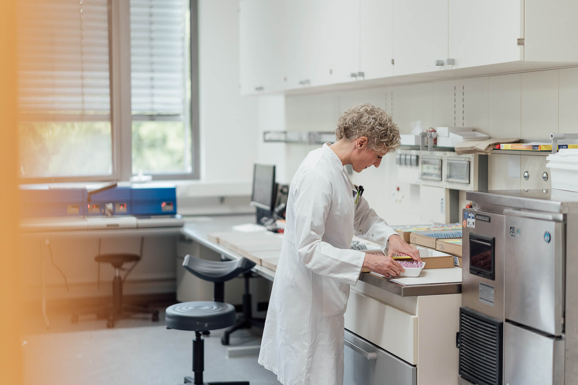 Eine Medizinische Technologin für Laboratoriumsanalytik sortiert Proben im Labor